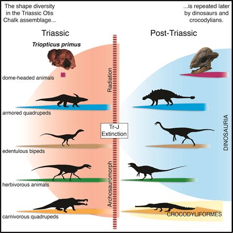 how are dinosaurs similar to today's reptiles